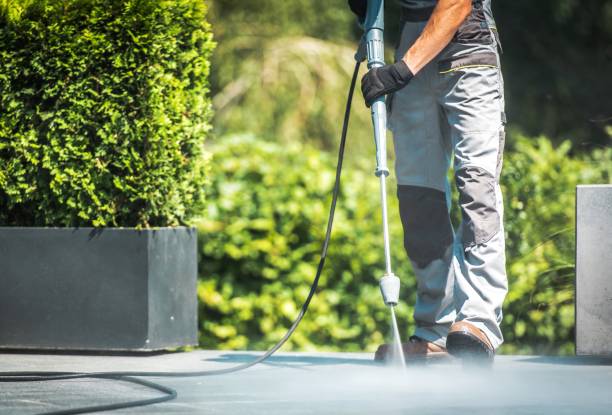 Best Fence Cleaning and Maintenance in Waterville, MN