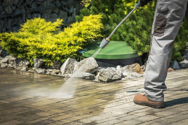 Best Pool Deck Cleaning in Waterville, MN