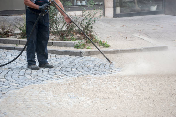 Best Roof Cleaning and Mildew Removal in Waterville, MN